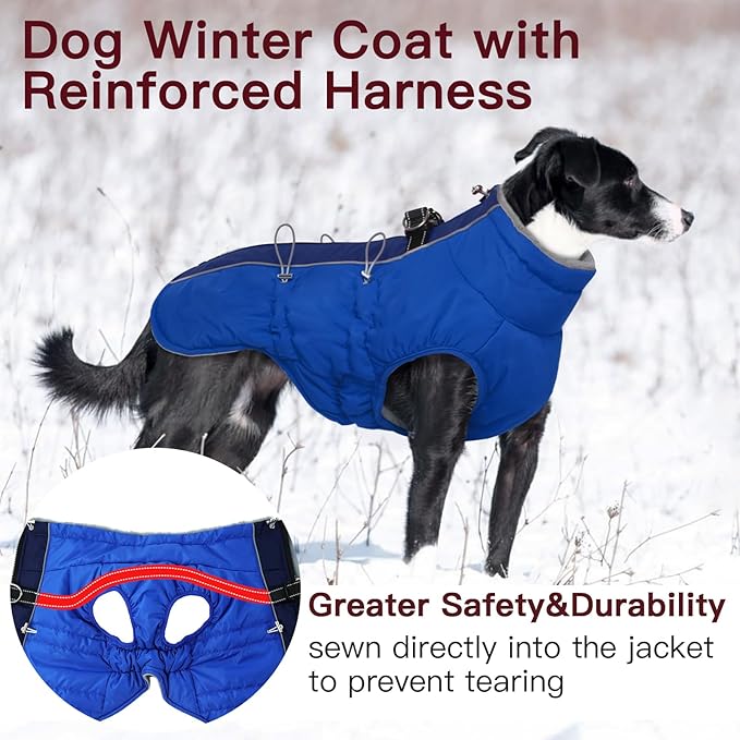 Winter Dog Coat - Zip Up Snowsuit Jacket, Reflective & Water-Resistant, Large (3X), Royal-Blue