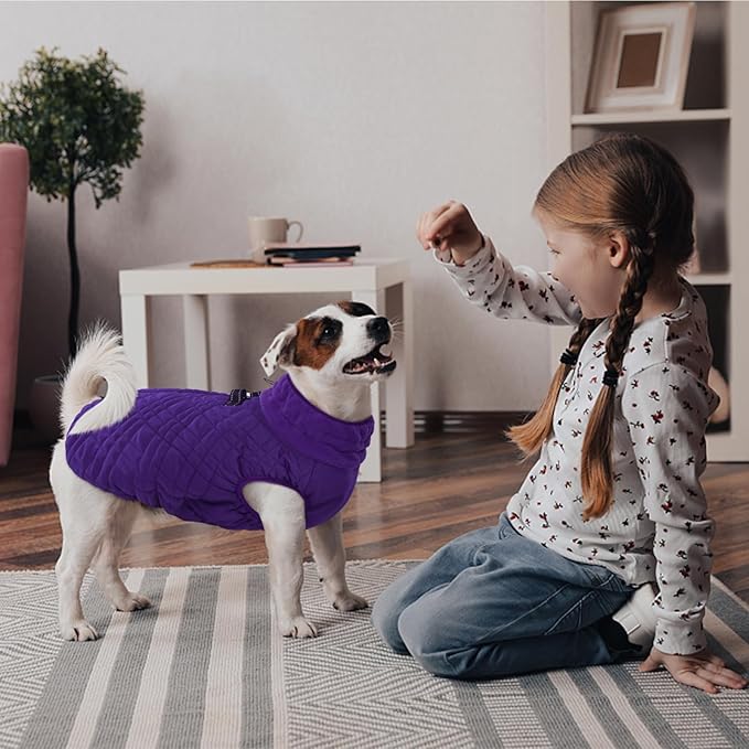 Kuoser Small Dog Jacket | Fleece-Lined Cold Weather Gear for Yorkies Chihuahua | Reflective Edges Guard Mini Breeds on Night Walks, Quick-Dry Fabric, Purple S