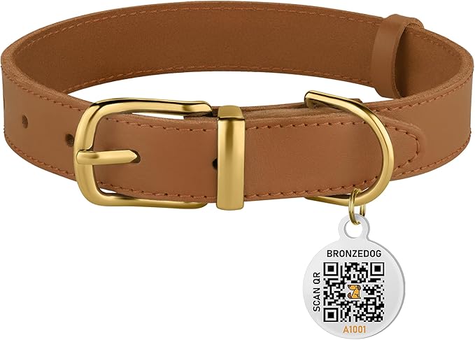 BRONZEDOG Leather Dog Collar with Metal Buckle Durable Basic Pet Collars for Small Medium Large Dogs (14-17 Inch (Pack of 1), Light Brown & Gold Buckle)