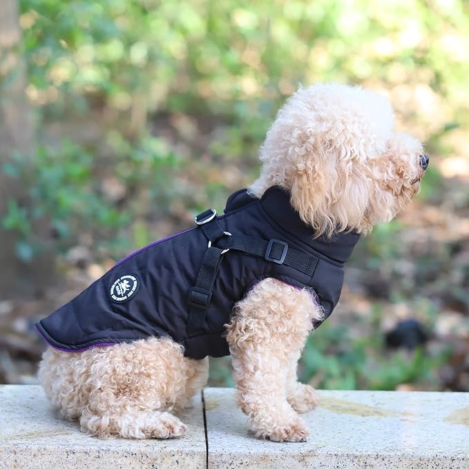 Norbi Pet Warm Jacket Small Dog Vest Harness Puppy Winter 2 in 1 Outfit Cold Weather Coat XS
