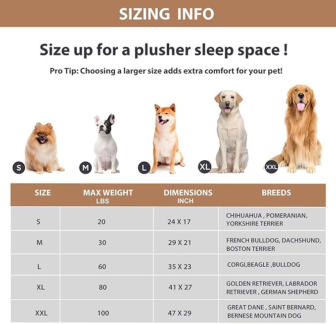 Dog Crate Pad for Medium Dogs - 30x20 Orthopedic Dog Bed with Memory Foam, Washable Water-Resistant Soft Pet Mat with Non-Slip Bottom, Khaki