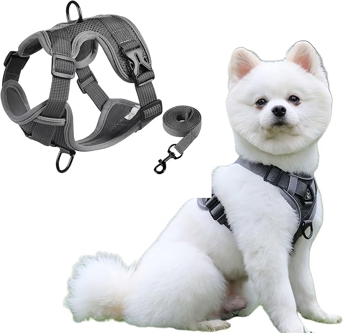 SOLMOONY Small Dog Harness,Soft Mesh Puppy Harness and Leash Set,No Escape Cat Harnesses for Training Walking,Reflective Adjustable Puppy Vest for Small Medium Dogs, Cats (Grey, S)