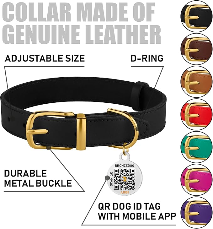 BRONZEDOG Leather Dog Collar with QR ID Tag Basic Pet Collars for Small Mini Dogs Cats Puppies (9-11 Inch (Pack of 1), Black & Gold Buckle)