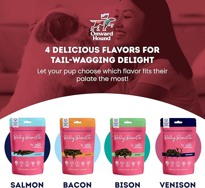 Onward Hound Training Treats for Dogs - Soft Salmon - Low Calorie Dog Training Treats for Sensitive Stomachs with Single Source Premium Protein, Corn Free, & Soy Free Formula - 4 oz