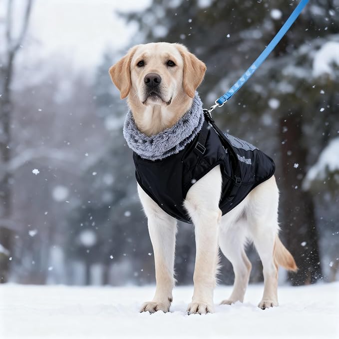 Dog Coat for Medium Large Dogs,Waterproof Reflective Dog Winter Jacket with Harness, Fleece Snowsuit,Warm Pet Winter Coat(Reflective blue-3XL)