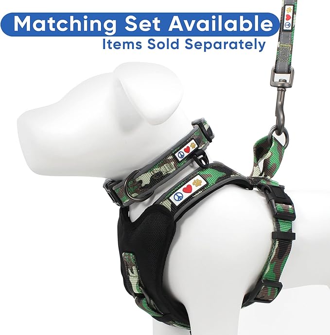 Pawtitas 6 FT Padded Dog Leash with Comfortable Neoprene Padding Handle - Camo Green Lead | Small Reflective Dog Leash with Highly Reflective Band Perfect for Extra Small and Small Dogs and Puppies.