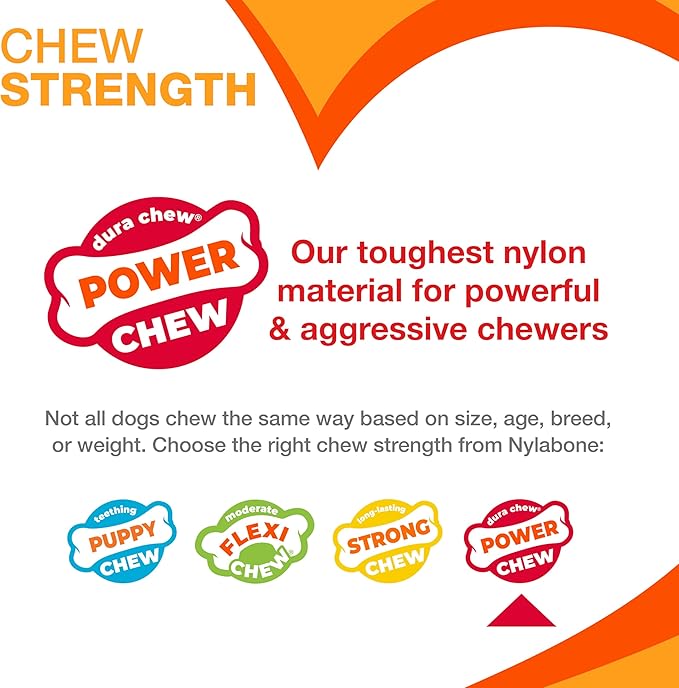 Nylabone Baguette Power Chew Toy for Dogs, Dog Toys for Aggressive Chewers, Roast Chicken Flavor, Large Dogs - Up to 50 lbs, 1 Count