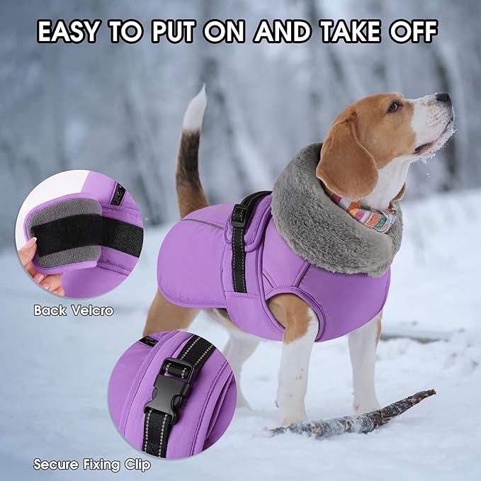 PETDSH Dog Coat Small, Windproof Dog Jacket with Warm Fleece Lining, Thickened Collar Dogs Winter Coat, Adjustable Reflective Pet Coats for Cold Weather (Purple, Small)