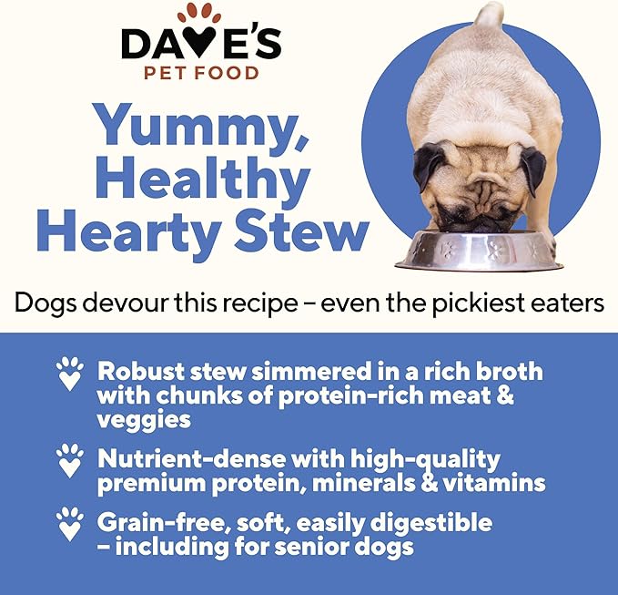Dave's Pet Food Stewlicious Grain Free Wet Dog Food (Beef & Vegetable in Gravy), Made in USA Naturally Healthy Canned Gluten Free Dog Topper, 13.2 oz (12 Pack)