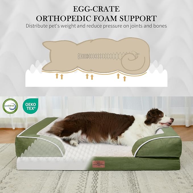 Comfort Expression Orthopedic Dog Bed for Small Dogs 24x16 Inch, Waterproof Supportive Egg Crate Foam Small Pet Bed with Removable Bolster, Dog Couch with Washable Cover & Non-Slip Bottom, Light Green