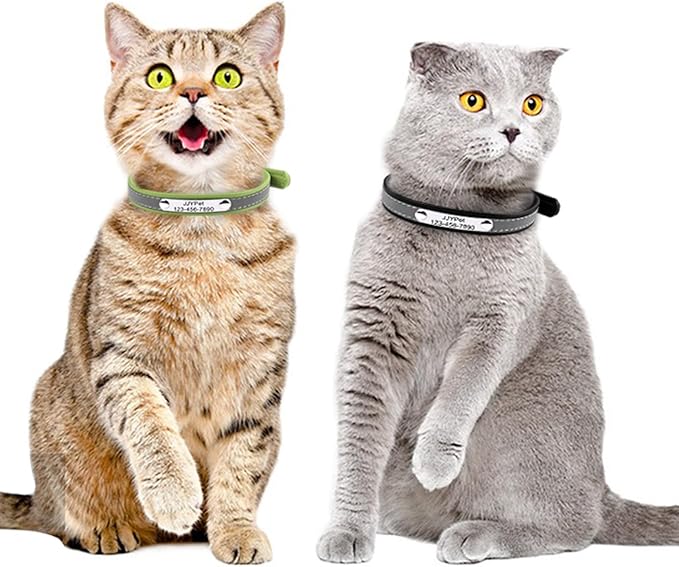 Personalized Reflective Cat Collars with Name Tag and Plated,Engraved Custom Cat Collar with Name and Phone,Kitten Collar with Safety Buckle Adjustable for Cats and Kitten(Green)