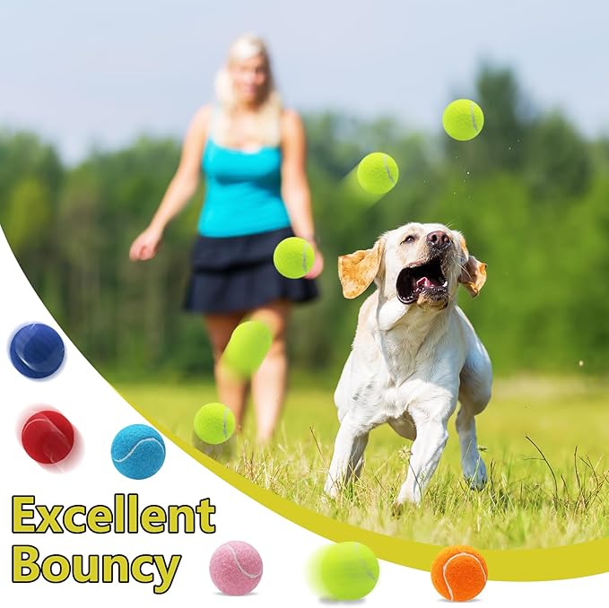 Swingers Squeaky Tennis Balls for Dogs,2.5 inch Training Tennis Balls,Exercise Ball for Pet Dog with Mesh Carry Bag Easy to Transport (Yellow, 6 Pack)