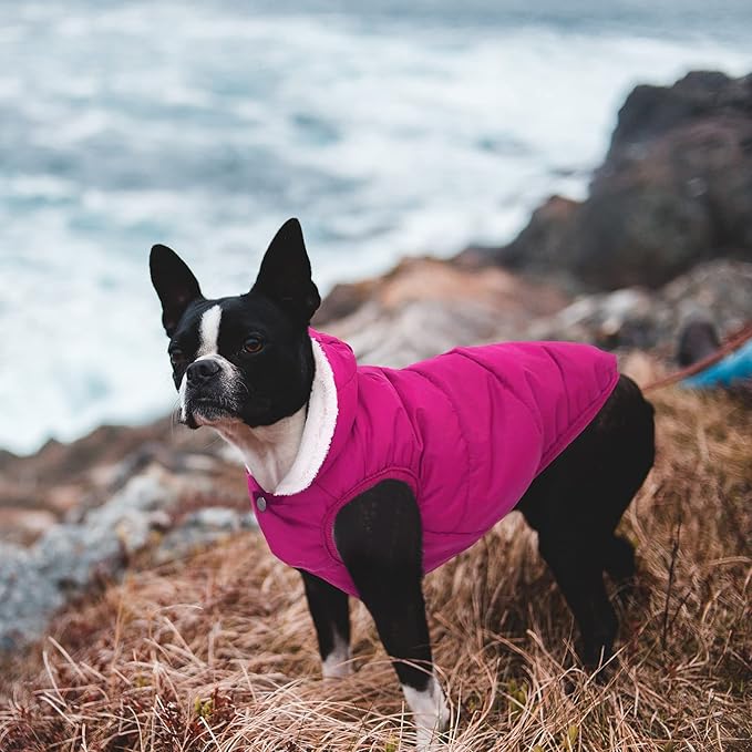 Windproof Waterproof Dog Coat Fleece & Cotton Lined Warm Jacket, Cold Weather Pet Apparel Clothes Vest for Small to Large Dogs (2XL, Pink)