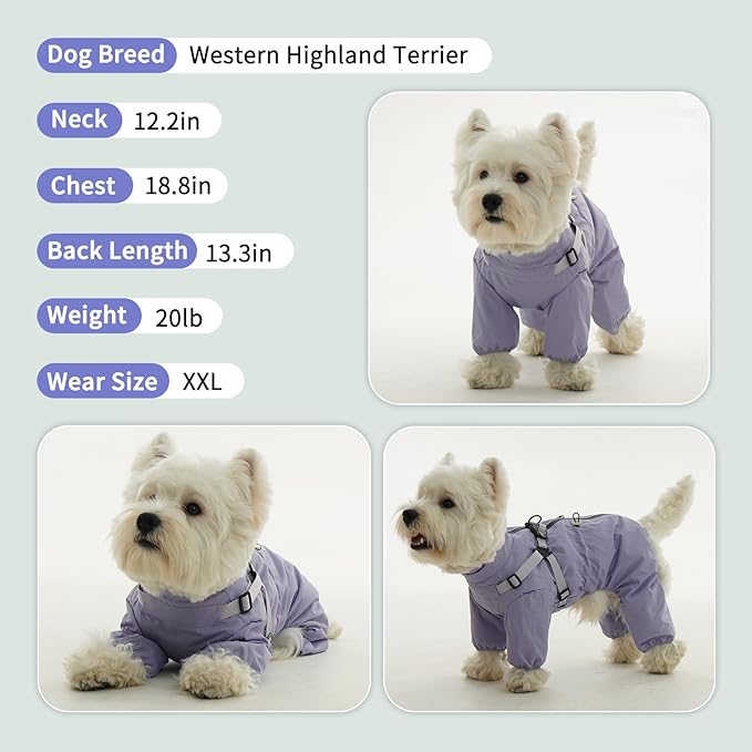 BRKURLEG Dog Raincoat for Small Dogs, Small Dog Rain Jacket with Harness Built in, Waterproof 4 Legs Puppy Raincoats, Puppy Outdoor Jacket with Reflective Strip, Purple, S