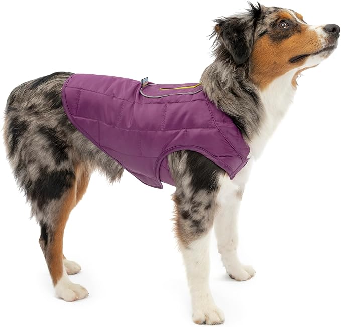 Kurgo Loft Dog Jacket - Reversible Cozy Coat for Outdoor Adventures - Water Resistant - Athletic Fit - Machine Washable Fabric - Reflective Dog Gear - X-Small - Deep Violet