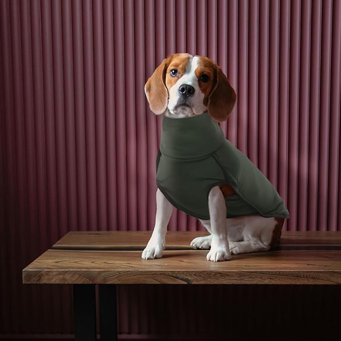 ROZKITCH Large Dog Shirts, Pet Windproof Warm Cold Weather Jacket Vest Cozy Jumpsuit Apparel Outfit Clothes for Walking Hiking Travel Sleep Green L