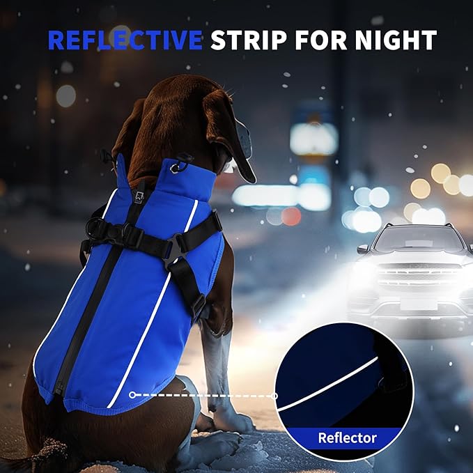 Dog Winter Coat Reflective Water-Resistant Jacket, Fleece Lined Windproof Puppy Coat with Back Zipper & D-Ring, Cold Weather Dog Coats for Small Medium Large Dogs (S, Blue)