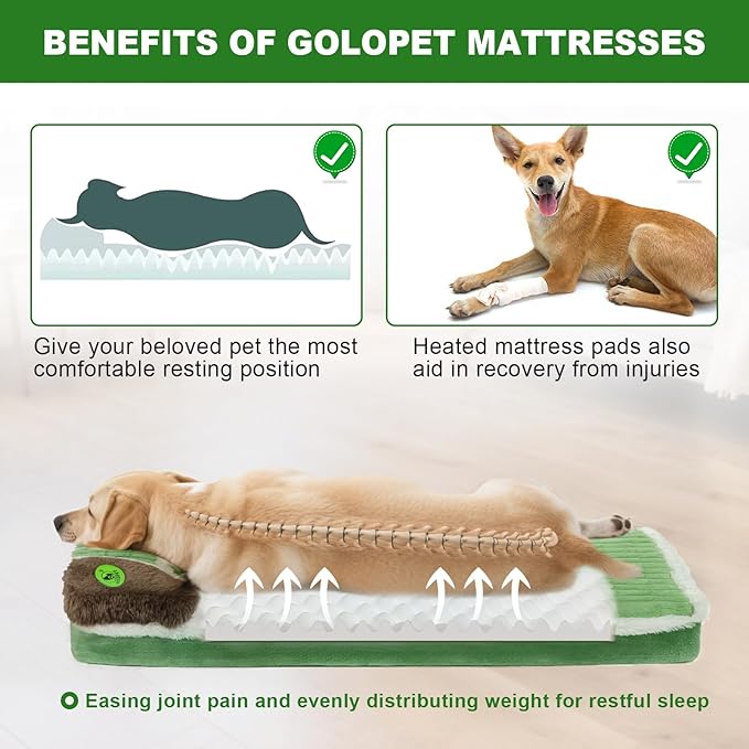 Heated Cat Bed Indoor Washable Bed Memory Foam Soft Dog Bed with Side Pillow, Smart Temperature Control Switch, Removable Cotton Sleeve Wash-Green (Green, 20 x 20 x 2 in)