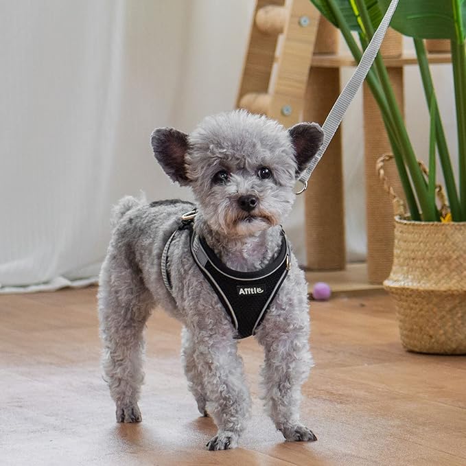 AIITLE Dog Harness, Summer No-Pull Cat Harness with a Leash, Adjustable Reflective Dog Vest, Cat Harness Escape Proof, Outdoor Walking, Camping for Extra Small Dogs and House Cats Black XXXS