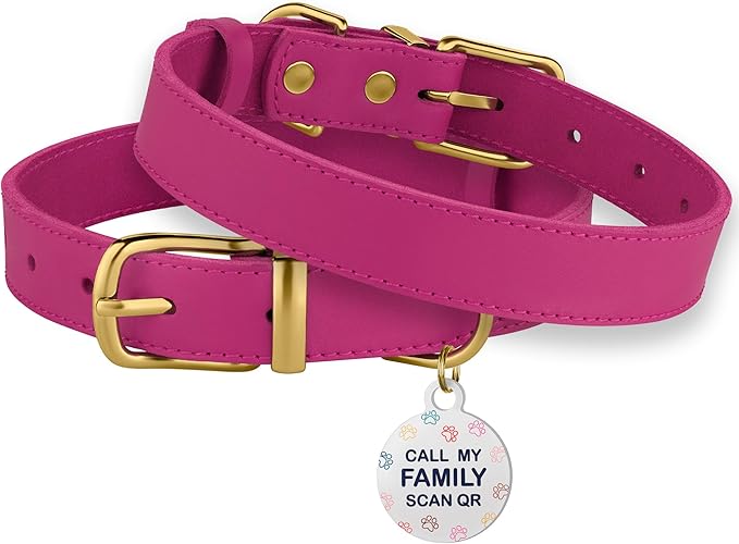 BRONZEDOG Leather Dog Collar with Metal Buckle Durable Basic Pet Collars for Small Medium Large Dogs (19-21 Inch (Pack of 1), Pink & Gold Buckle)