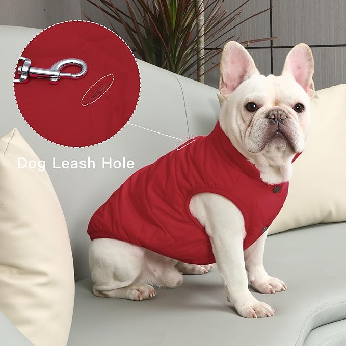 2 Layers Fleece Lined Warm Dog Jacket for Winter Cold Weather,Soft Windproof Large Dog Coat,Red XXL