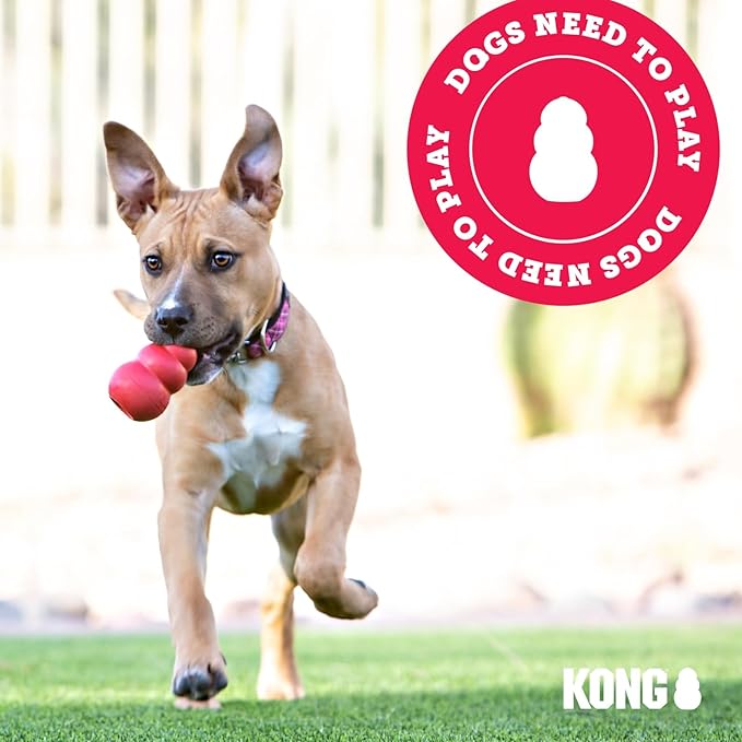 KONG CoreStrength Bow Tie Bone - Dog Dental Chew Toy - Durable, Multi-Layered Dog Toy for Enrichment Play & Dental Care - with Textured Body for Teeth Cleaning - for Small/Medium Dogs