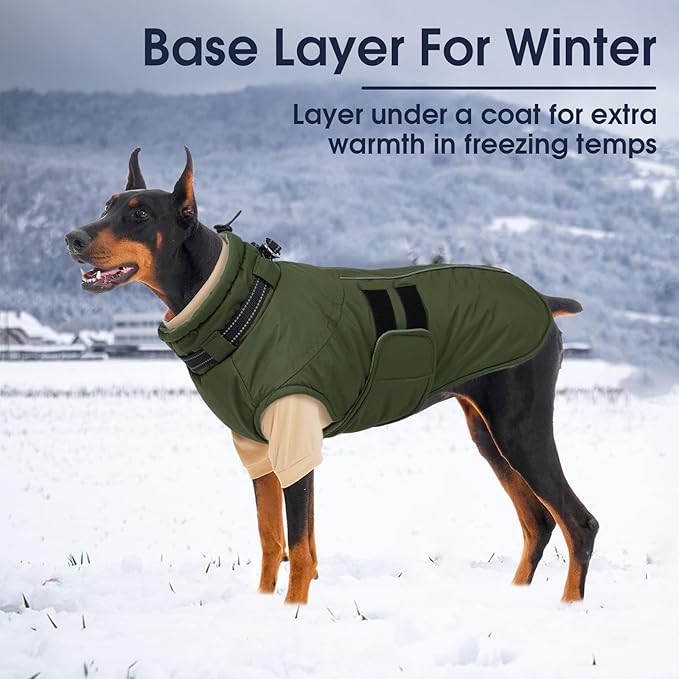 IECOii 2 Pack Dog Fleece Sweater for Small Dogs, Warm Dog Turtleneck with Stretch for Dachshund, Cozy Fall Winter Pullover Dogs Sweatshirt with Sleeve, Indoor & Outdoor Sweaters for Walking, M
