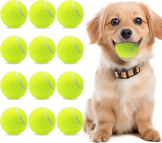 Magicorange 12 Pack Small Tennis Balls, 2 inch Tennis Balls for Dogs,Colorful Easy Catching Pet Playing Ball(Yellow, 12 Pack)