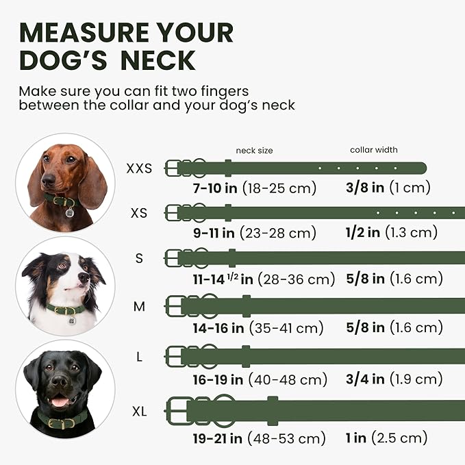 BronzeDog Rolled Leather Dog Collar with QR ID Tag, Adjustable Soft Round Collars for Small Medium Large Dogs Puppy (14" - 16" Neck Size, Emerald Green)