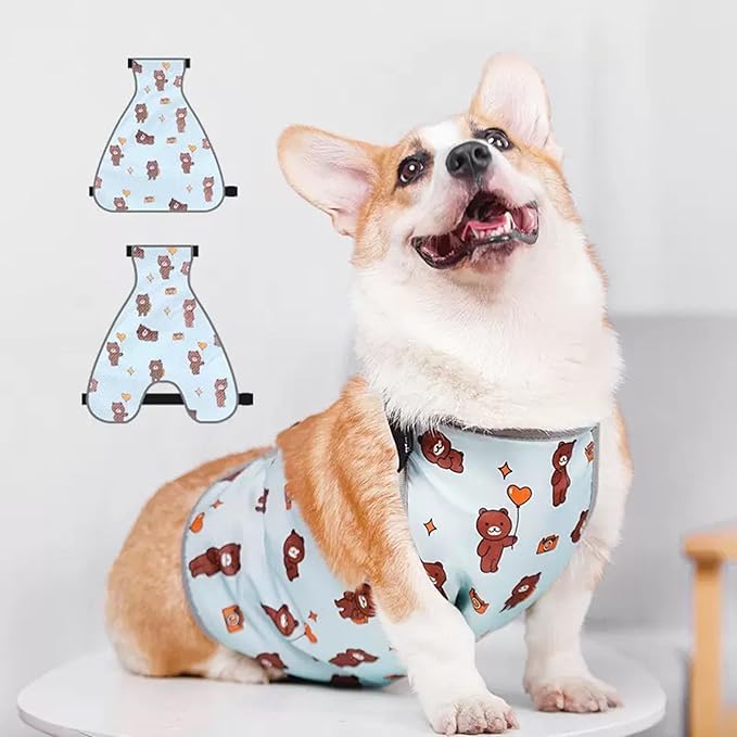 Waterproof Belly Shield for Corgis & Dachshunds – Adjustable underbelly Protector. Male/Female Designs. Stays Dry in rain, mud & Grass. Ideal for Sensitive Skin (Blue - Male, S)