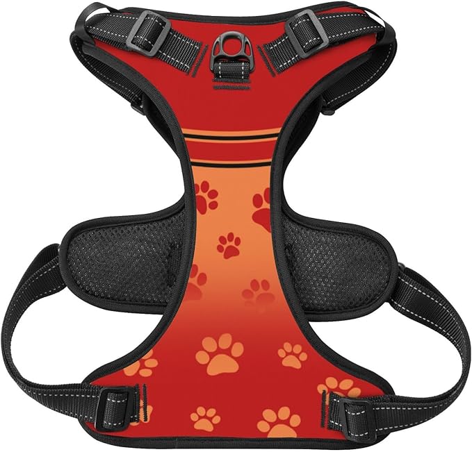 Custom Tampa Bay Dog Harness with Reflective Stripes Personalized Name and Number Dog Vest Harness with Pet Traction Rope for Small Medium Large Dog