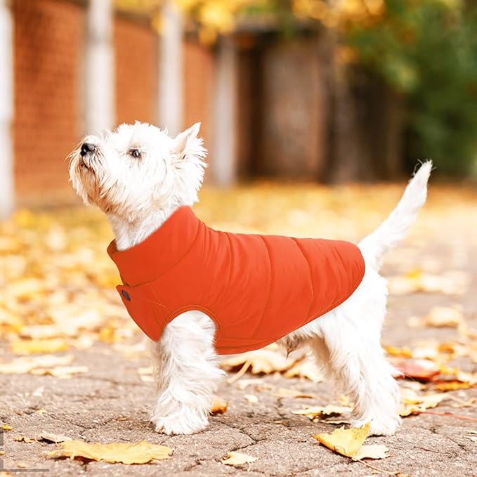 ASENKU Dog Winter Coat - Waterproof Windproof Dog Jacket, Warm Snowproof Doggie Puffer Vest for Cold Weather, Lightweight Snow Coats for Small Medium Large Dogs(Orange, XS)
