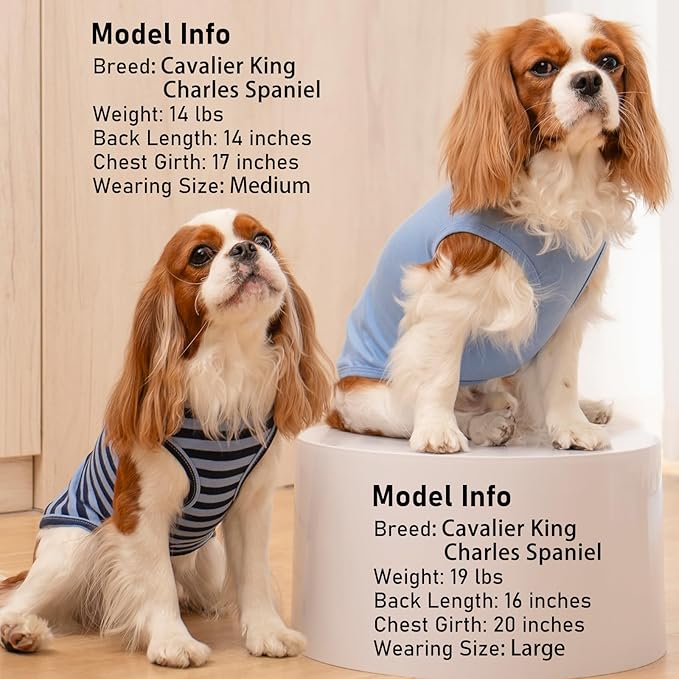 KYEESE 2Pack Dog Shirts Striped T Shirt for Medium Dogs Boy Lightweight Sleeveless Vest Cotton Tank Top Clothes, XX-Large,Dark Blue+Striped