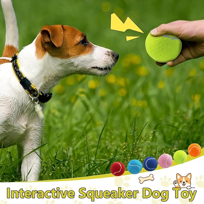 Swingers Squeaky Tennis Balls for Dogs,2.5 inch Training Tennis Balls,Exercise Ball for Pet Dog with Mesh Carry Bag Easy to Transport (Yellow, 24 Pack)