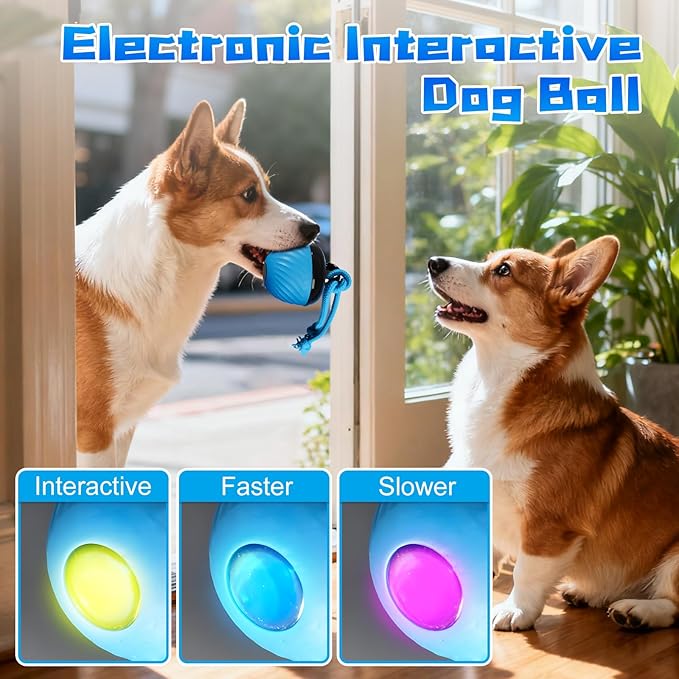 Interactive Dog Toys Ball, 2025 Smart Pet Puppy Ball with Ropes for Indoor Dogs, Path Electric Automatic Moving and Rolling Dogs Toy for Small Medium Large Dogs Daily Training (Bule)
