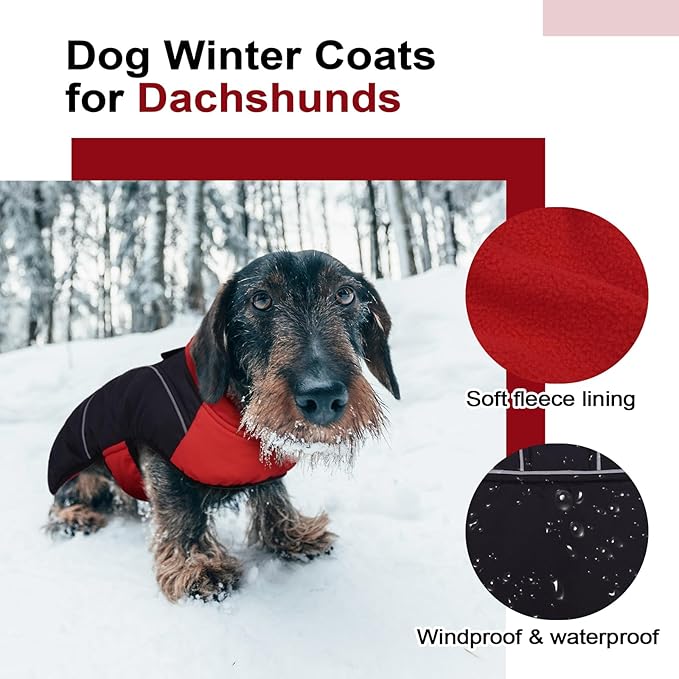 Lelepet Dachshund Coat Warm Dog Winter Coat Waterproof Dog Jacket with Fleece Lining, Reflective Outdoor Dachshund Snowsuit with Leash Hole Adjustable Neckline,Coats for Small Medium Dogs,Red, L