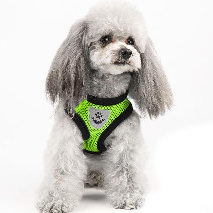 shudyear Summer cat Chest Harness and Leash, Anti-Escape Adjustable Soft mesh cat Leash and Chest Harness Set for All Types of Cats cat Vests (Size S,Green)