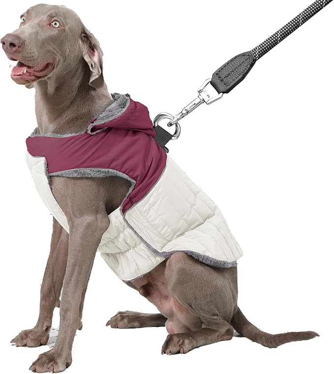 Detachable Hooded Dog Coat with Harness for Large Dogs,Super Warm Fleece Puppy Jacket for Cold Winter Doggie Coats,Red XXXL