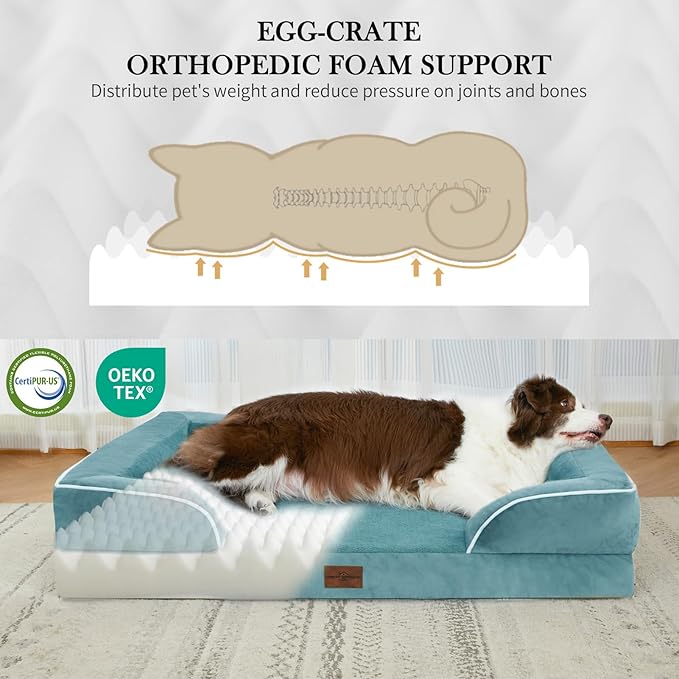 Comfort Expression Orthopedic Dog Bed for Small Dogs 20x14 Inch, Waterproof Supportive Egg Crate Foam Small Pet Bed with Removable Bolster, Dog Couch with Washable Cover & Non-Slip Bottom, Washed Blue