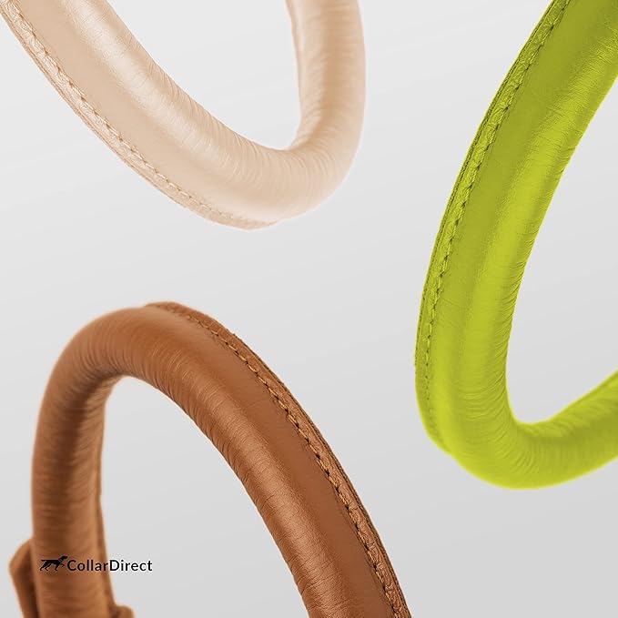 CollarDirect Rolled Leather Dog Collar, Soft Padded Round Puppy Collar, Handmade Genuine Leather Collar Dog Small Large Cat Collars 13 Colors (18-22 Inch, Lime Green Textured)