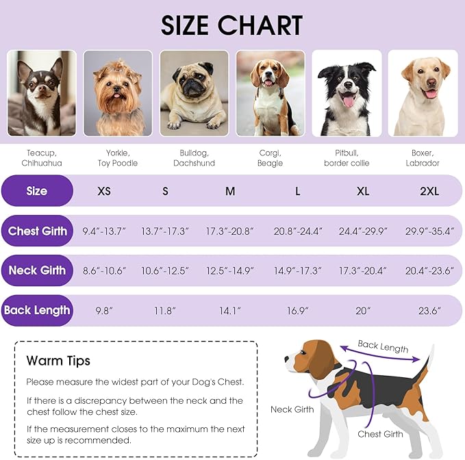 Queenmore Dog Winter Coat, Cold Weather Fleece Jacket for Dogs, Waterproof Reflective Reversible, for Small, Medium and Large Dogs (Purple, XL)
