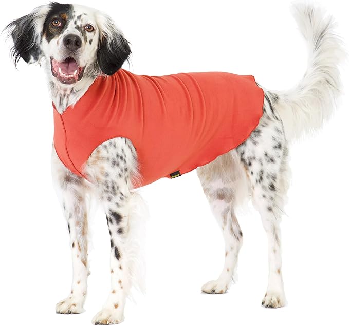 Goldpaw Stretchy Fleece Jacket for Small Dogs - Super Soft, Warm Dog Sweater - Pet Sweater Vest for Fall and Winter - Canine Clothes Made in The USA - Machine Washable - Paprika - Size 16