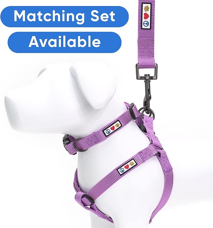 Pawtitas Personalized Dog Leash - Embroidered Customize Leash with Your Pet's Name & Phone Number - 6 ft Long, Purple Orchid Custom Tag