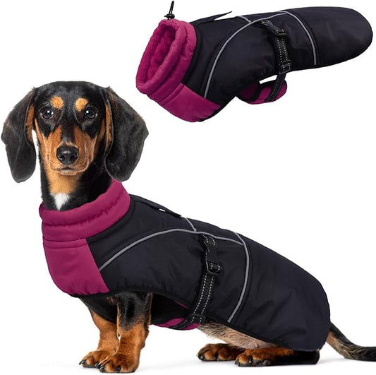 DORA BRIDAL Dachshund Coat, Fleece Lined Dog Winter Coat, Warm Dog Coats with Reflective Strips, Adjustable Waterproof Pet Jacket Clothes, L