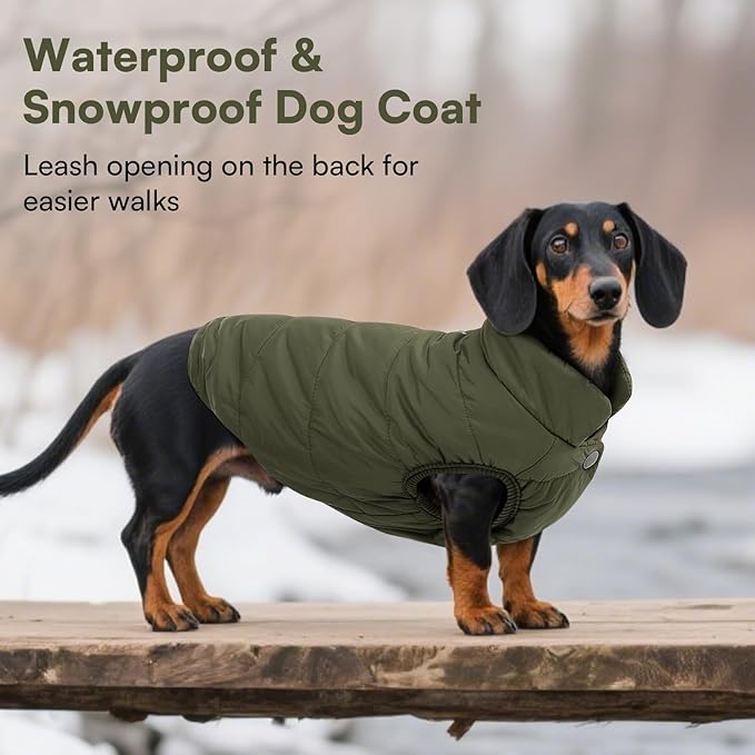 ASENKU Windproof Dog Winter Coat Waterproof Fleece Jacket Cold Weather Pet Apparel for Small Medium Large Dogs (ArmyGreen, L)