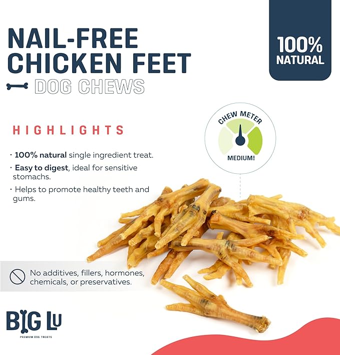 Big Lu – Nail-Free Chicken Feet Dog Chews, 100% Natural Single-Ingredient Treats, Rawhide-Free, Long-Lasting, Rich in Glucosamine and Chondroitin for Joint Health (30 Count, Chicken Feet)