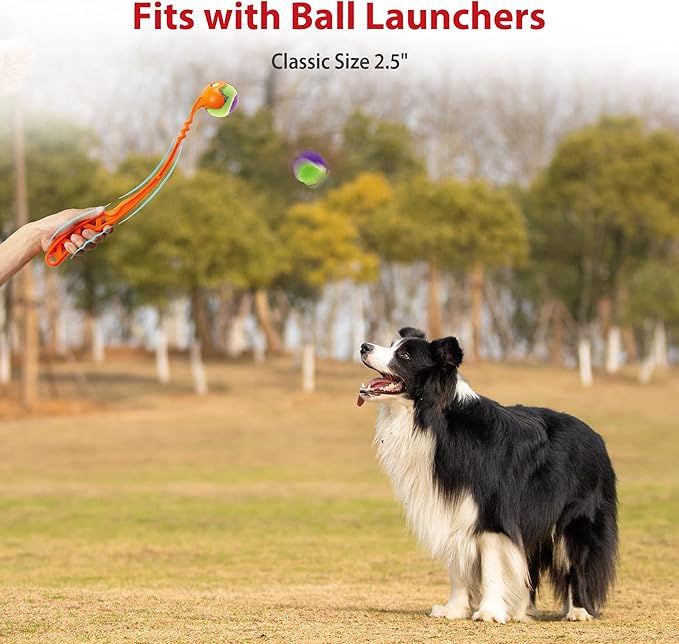 Gigwi Tennis Balls for Dogs, Squeaky Dog Tennis Balls for Exercise, High Bouncy Pet Ball Bright Colors 2.5 Inches, Interactive Funny Dog Toys for All Breeds of Dogs Indoor & Outdoor Dog Games, 5 Pack