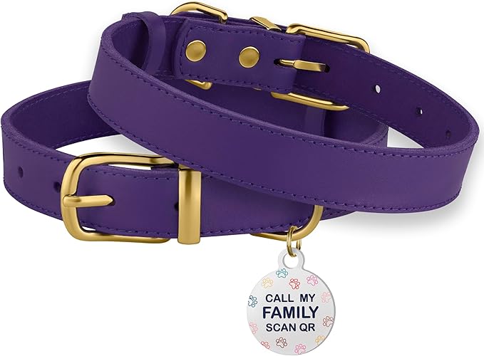 BRONZEDOG Leather Dog Collar with Metal Buckle Durable Basic Pet Collars for Small Medium Large Dogs (14-17 Inch (Pack of 1), Purple & Gold Buckle)