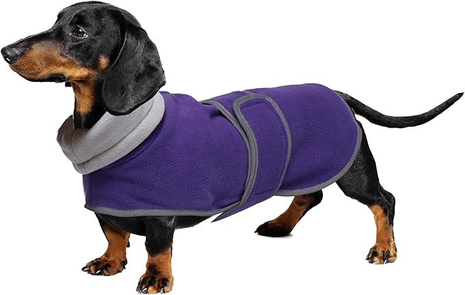 Geyecete Dachshund Sweaters for Dogs Jacket,Dachshund Coat Perfect Dog Winter Coat with Padded Fleece Lining,high Collar,Dog Snowsuit-Purple-M