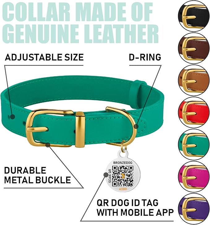 BRONZEDOG Leather Dog Collar with Metal Buckle Durable Basic Pet Collars for Small Medium Large Dogs (19-21 Inch (Pack of 1), Green & Gold Buckle)